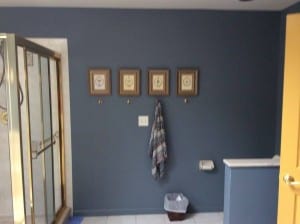 Before gold trim shower and toliet area